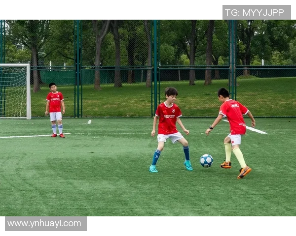 球服如何看待足球明星的表现与影响力分析