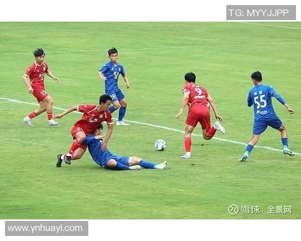 足球明星图鉴大全高清解析各大球星风采与成就的全景展示 足球明星图鉴大全高清解析各大球星风采与成就的全景展示