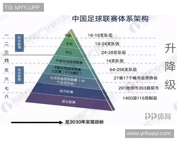 中国足球排名单最新动态分析与未来发展趋势探讨