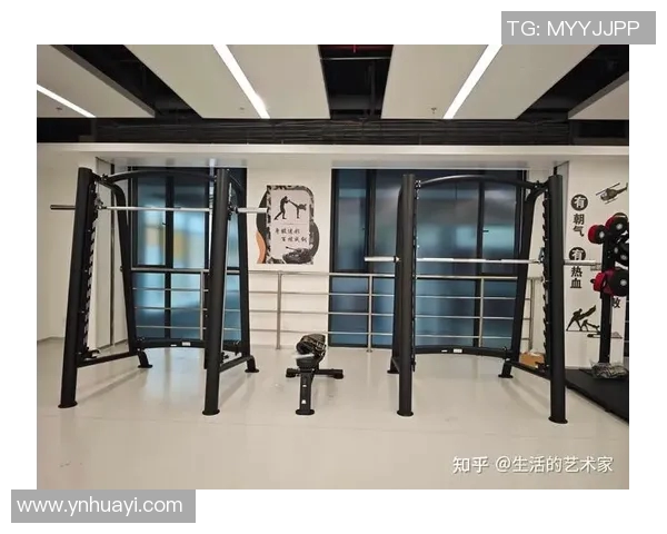 健身器材价格全面解析助你选择适合的健身设备与预算