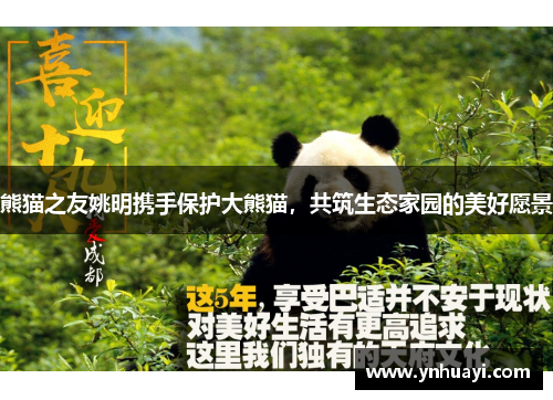 熊猫之友姚明携手保护大熊猫，共筑生态家园的美好愿景